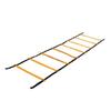 Sports Agility Training Ladder