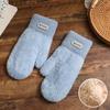 Plush gloves female students keep warm in autumn and winter cute plush thickened simple couple cycling windproof and cold-proof gloves