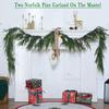 Artificial PE Norfolk Pine Garland with Soft Pine Needles - Christmas Decoration Wreath
