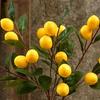 Elegant Artificial Lemon Fruit Luxury Simulation Fruit Tree Fake Plants  Indoor Outdoor