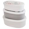 Skater Lunch Box Seal Container Storage Container Made in Japan (Large 400ml Medium 280ml Small 180ml) Set of 3 Ag+ Antibacterial Miffy Monotone SRS3S