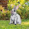 1/3pcs Easter Rabbit Yard Signs Spring Yard Stake Decorative Garden Stakes for Indoor Outdoor Courtyard Lawn Decoration
