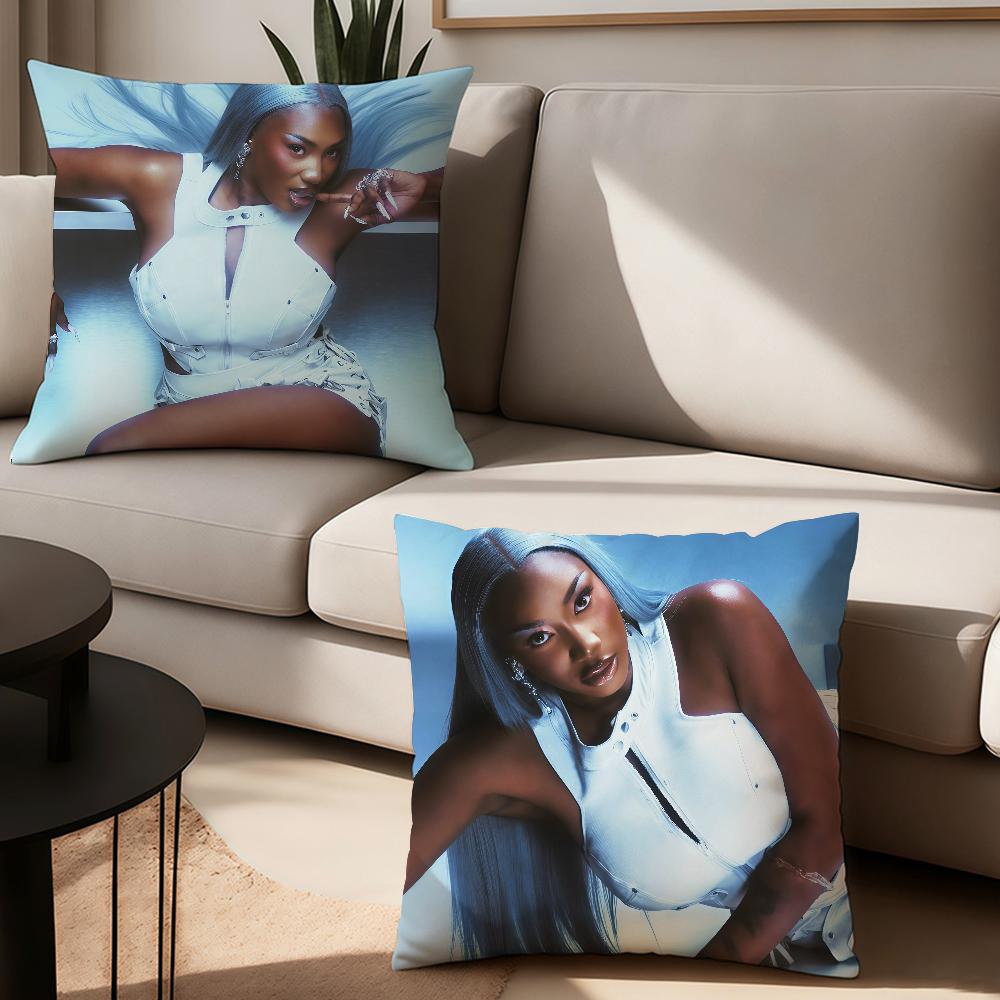 Aya N-Nakamura Destinee Pillow Case Suitable For Bedrooms Living Rooms Cars Home Decoration
