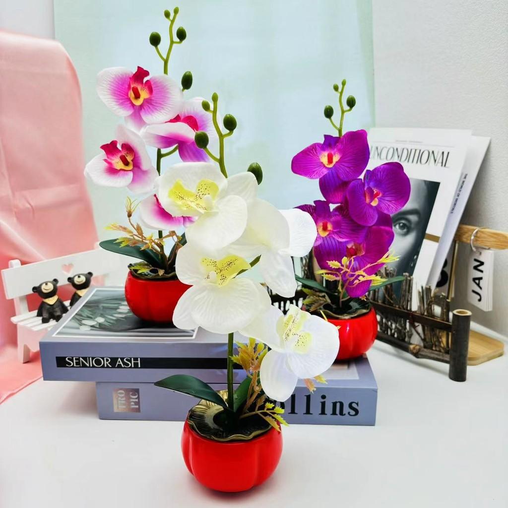 Phalaenopsis Decorative Faux Plant With Durable Silk And Plastic For Home Decor