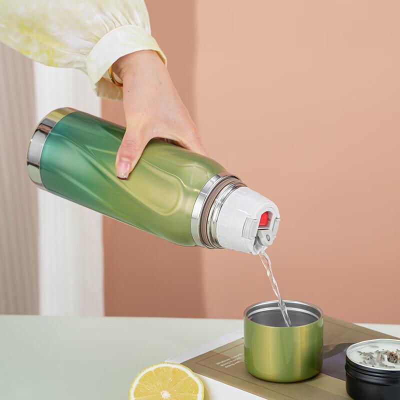 Debo Warren 520ml Insulated Water Bottle