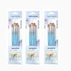 Daily Practice Nylon Mixed Brush Set for Watercolor, Gouache, Oil Painting - 5 Brushes
