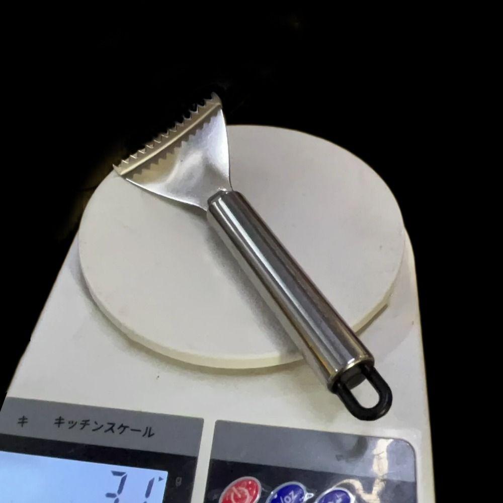 Smooth Handle Fish Scale Scraper Easy Maneuverability Seafood Tools  Kitchen Tools