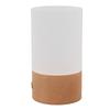 LED Table Lamp 3000K Warm Light Touch Control Stepless Dimming USB Charging Portable Bedside Night