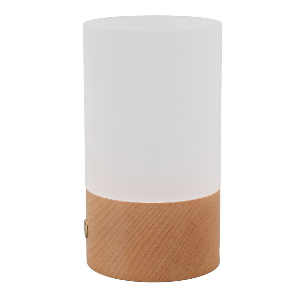 LED Table Lamp 3000K Warm Light Touch Control Stepless Dimming USB Charging Portable Bedside Night
