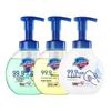 Safeguard Foaming Hand Soap Multi-Scent 3-Pack