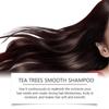 Eelhoe Tea Tree Shampoo Gentle Cleansing Strong Hair Soft Repair Shampoo