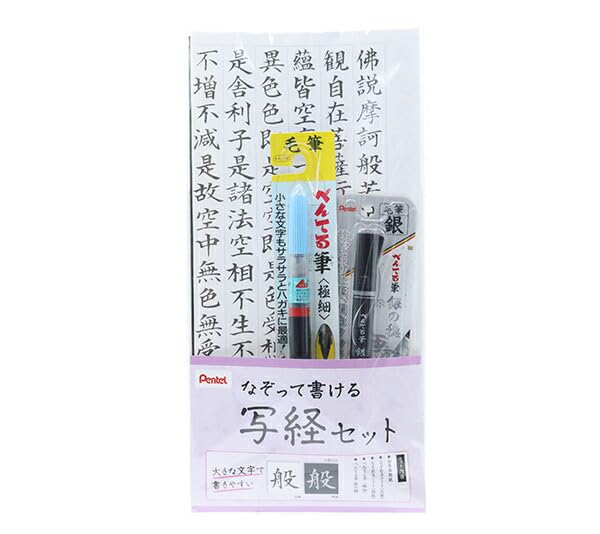 

Calligraphy set pen copying set 2 silver Brush extra-fine tip білий