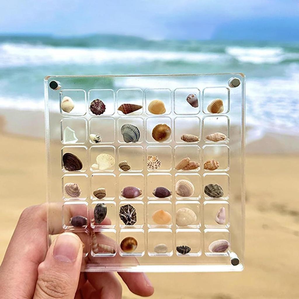 Acrylic  Seashell Display Box Seashell Display Diamond Storage Box Small Craft Organizers Compartment