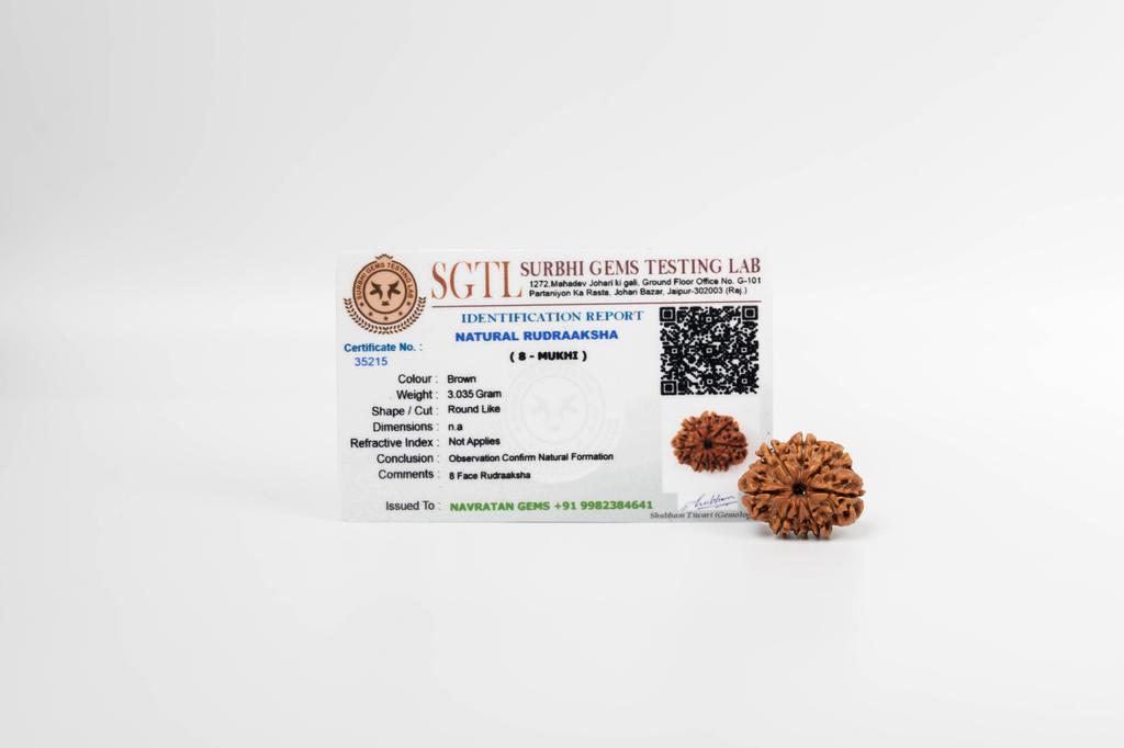 Natural 8 Mukhi Rudraksha Bead – Nepali Origin | Spiritual Bead for Obstacles Removal, Success & Protection | Organic & Lab Certified