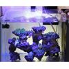 2 Pieces Fish for Tank Screen Net Clamp Anti-Jump Net Clip Clear Acrylic Clamps
