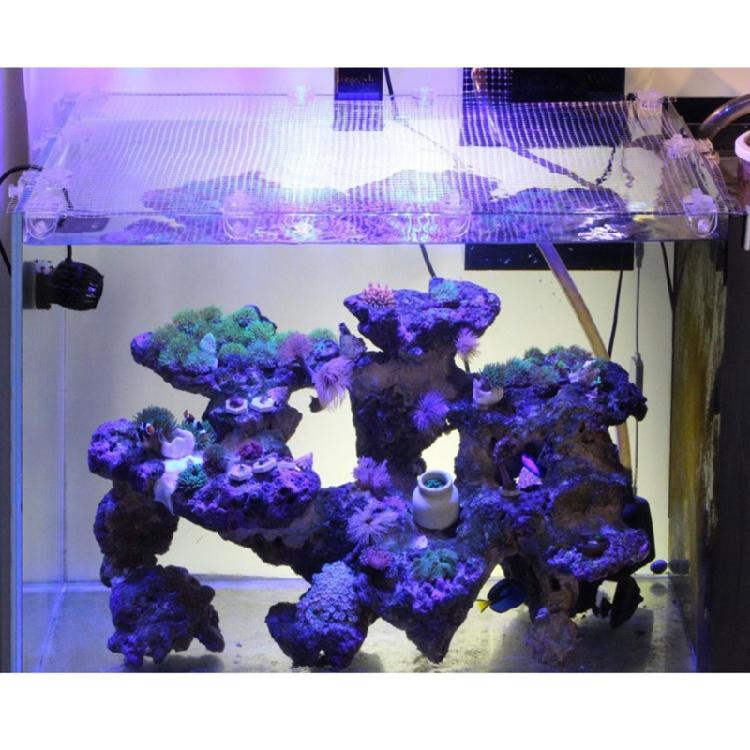 2 Pieces Fish for Tank Screen Net Clamp Anti-Jump Net Clip Clear Acrylic Clamps