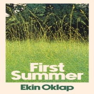 First Summer by Ekin Oklap Hardback Book 9781398551589