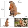 Oenux Wild Animals Simulation Rodent Marmot Mouse Model Squirrel Rat Chinchilla Action Figure Figurine Collection Cute Kid Toy