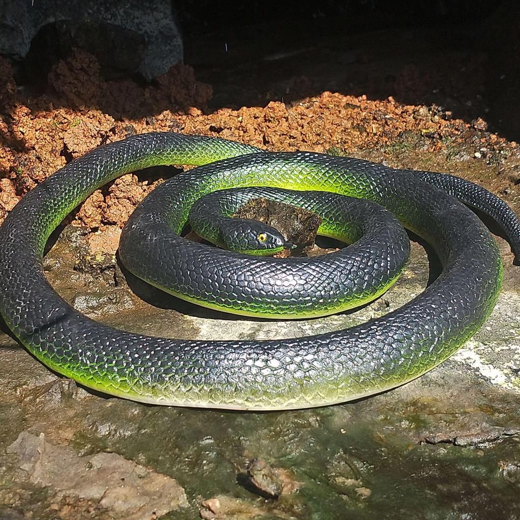 Children's Soft Rubber Toy - Large Green Fake Snake Prank Model