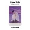 Stray Kids ROCCIA()-Fotocarta Ufficiale STAR