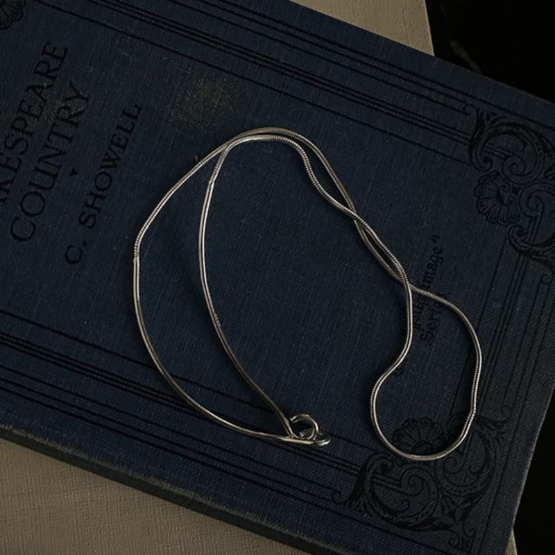 Mosxe [925silver] Wire Hook Necklace