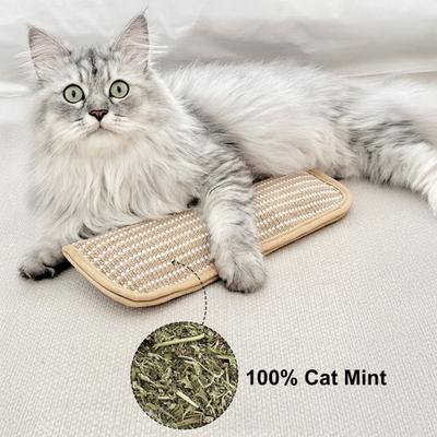 Gatti – Giocattoli per gatti