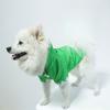New Pet Universal Raincoat Bigbear Teddy Corgi Cute Waterproof Raincoat Cartoon Transformation Raincoat Dog Raincoat