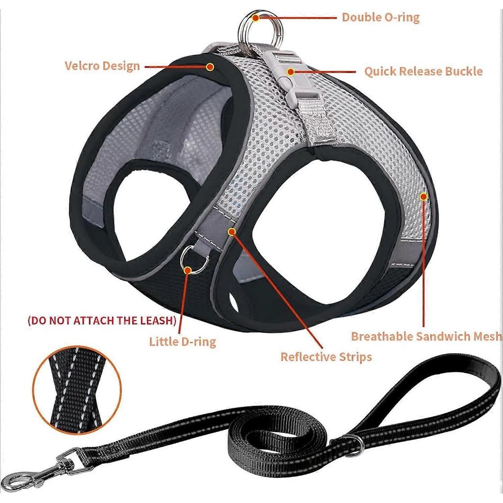 No Pull Dog Harness & Leash Set, Step-in Adjustable Vest with Padding for Hot Weather, Soft Handle Leash, Easy On for Small & Medium Dogs, Pure Pink