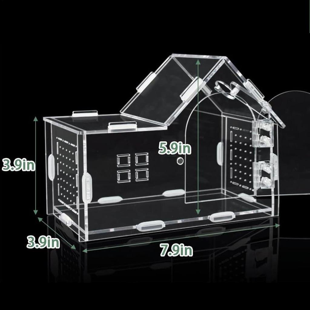 Jumping Spider Terrarium Acrylic Reptile Cage Ventilation Tarantula Habitat For Home Office Living Room Travel Gecko Tarantula