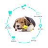Durable Dog Chew Toys for Aggressive Chewers 1Pcs Long-Lasting Teething Stick with Serrated Edges for Puppy Teething Relief