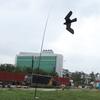 Zmeu de șoim zburător pentru respingător de păsări extensibil cu stâlp telescopic de 5 m