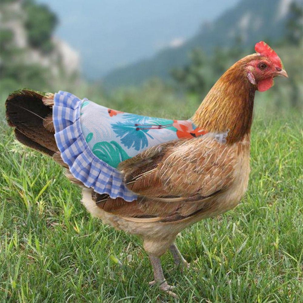 

Adjustable Chicken Saddle Apron Cartoon Chicken Harness Vest Poultry Apron Four Seasons Style C