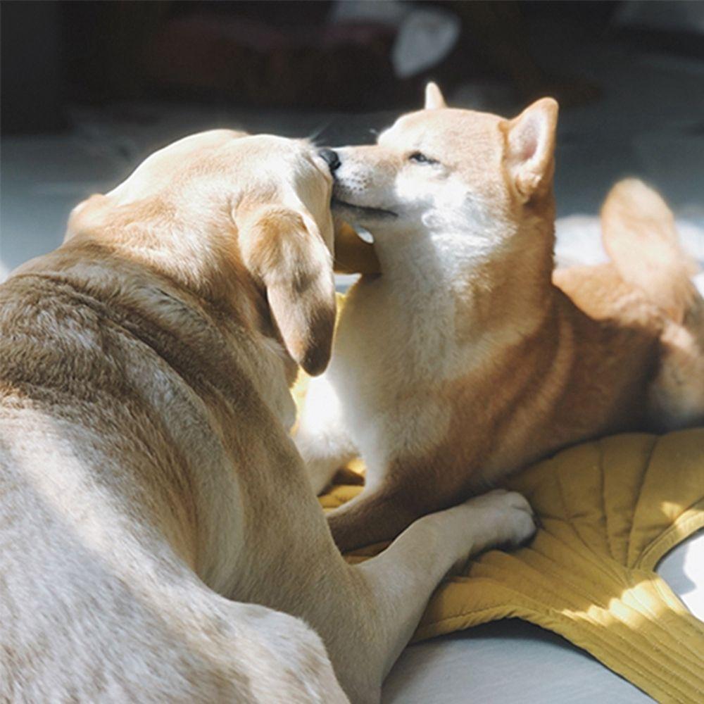 Modern Leaf Pet Pad Aesthetic Dog Cat Sleeping Mat Soft Thick Washable Comfortable Crate Mat for Stylish Home Decor Floor Bed