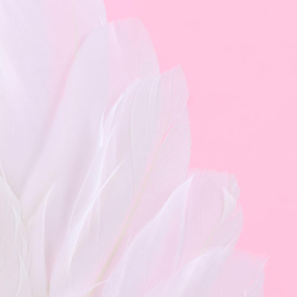 Accessoires Angel Cake Decorations Wings Feather Party Decor Angel Wings Cake Toppers Feather Wings