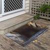 2D Cave Entrance Welcome Mat For Bedroom, Living Room Carpet, Kitchen, Bathroom Entrance Mat, Home Decoration