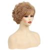 Synthetic Women's Wigs Curly Short Wigs for Women Blonde Ombre Wig Female Daily Cosplay Grandmother Mommy Wig Natural