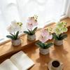 Artificial Two-Branch Phalaenopsis Bonsai for Indoor Décor – Ideal for Living Rooms and Studies