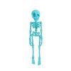 Gothic Skeleton Refrigerator Stickers Posable Skeleton Man 3D Printed Fridge Magnet Decals Halloween Decor Educational Tool