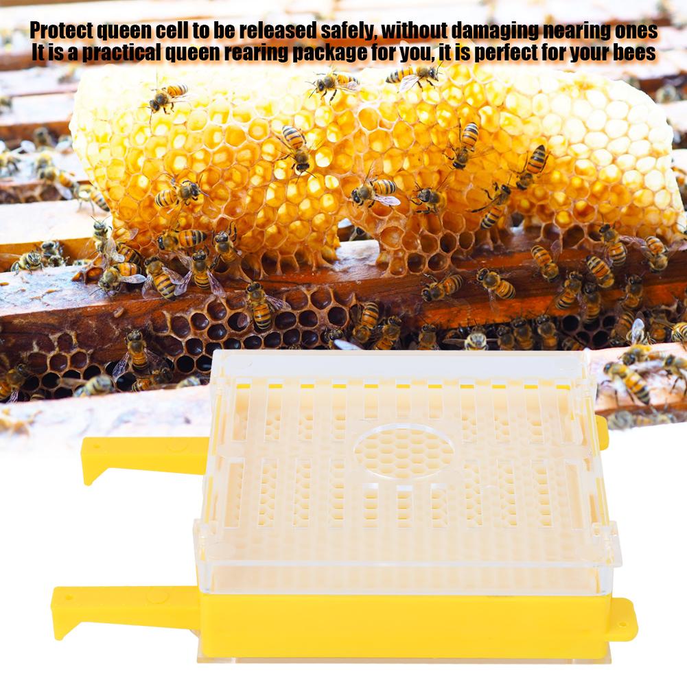 Queen Rearing Package Queen Cell Protective Cover Full Bee Breeding Set for Beekeepers
