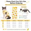 Prevent Licking Cat Surgical Recovery Suit Breathable Cat Onesie  Post-Surgery Recovery