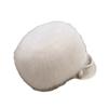 Fox skin flat-bottomed hat female autumn and winter cotton hat thickened fluff warm ear protection fairy thickened princess hat