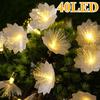 Illuminazione – Decorazioni luminose