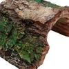 Artificial Resin Fish Home Cave Tree Decor Mini Aquarium Set Complete for Betta Fish and Reptile Habitat