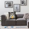 Pillow Case Pet Cat Funny memes Comfy  Pillow Cover For Sofa Car Home Decor Cute Funny Pillowcases