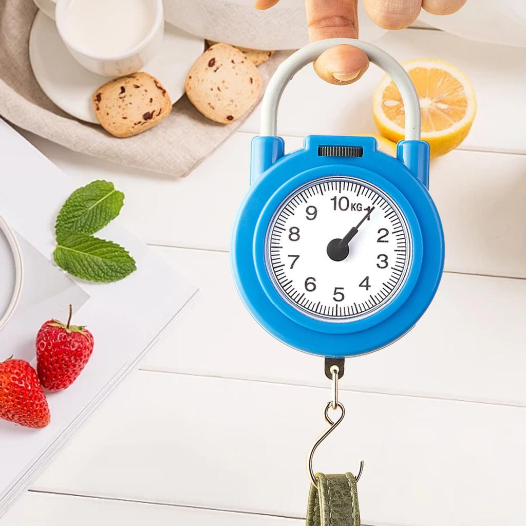 Handheld Scale High Accuracy Portable Kitchen Spring Scale 22lb Load Capacity Small Food Weighing Scale for Household