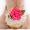 Clearance Specials, Dog Pet Clothes, Dog Clothes, Dog Vest, Physiological Pants, Skirt, Sweater, Cotton Clothes, Teddy Dou