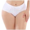 Women Pantie Sexy Lace Elastic Lingerie Knickers Underpants Underwear L-4XL