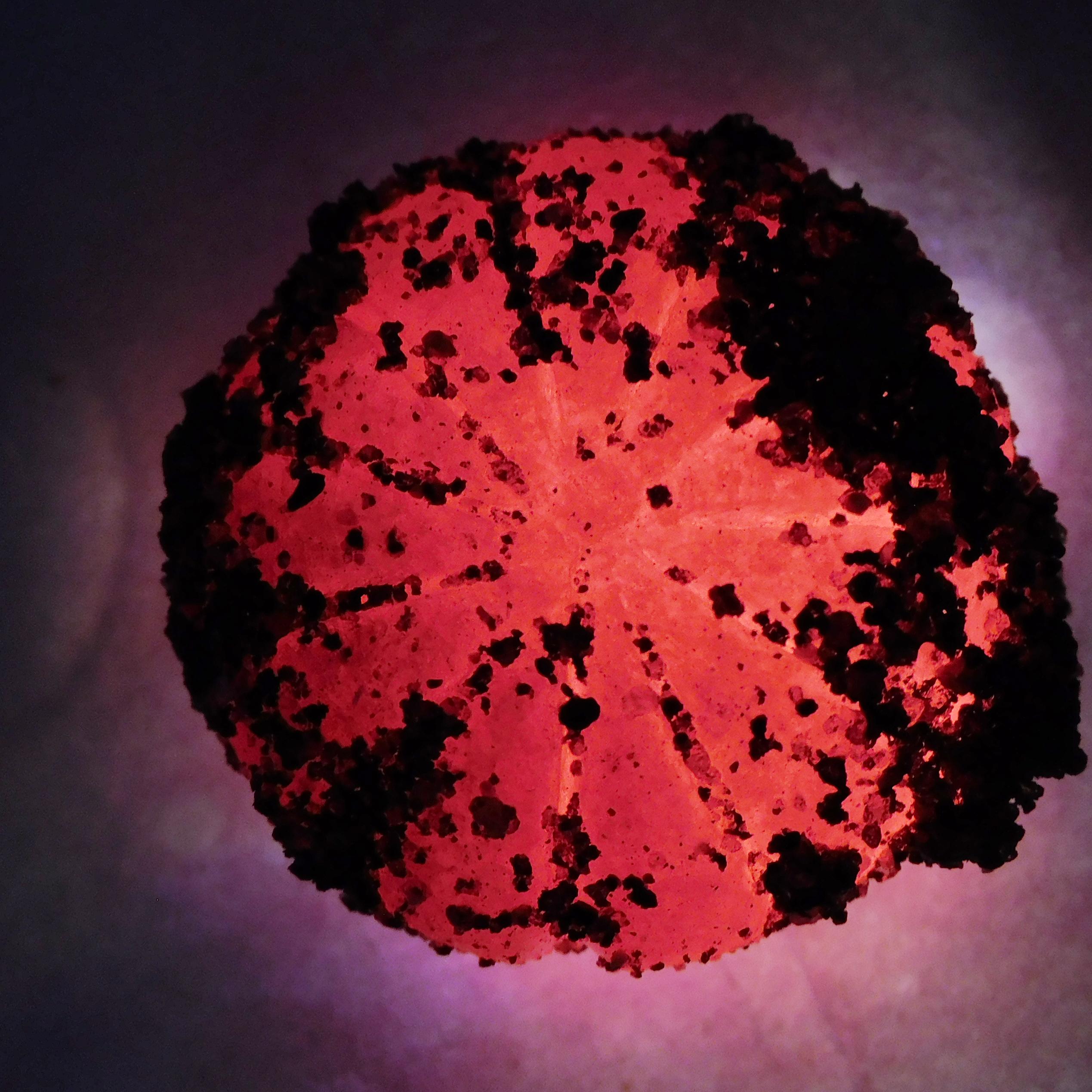 

Red Ruby Natural 75.90 Ct Round Rough CERTIFIED Rare Loose Gemstone M-680-Ra 27.8 mm approx червоний