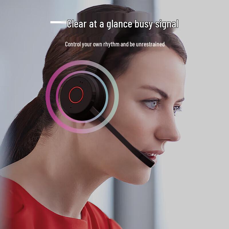 Jabra Evolve 65 TE Wireless Headset