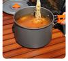 Outdoor Cookware Set DS311: 2-3 Person Portable Picnic Set with 1.1L Teapot and Tableware Accessories